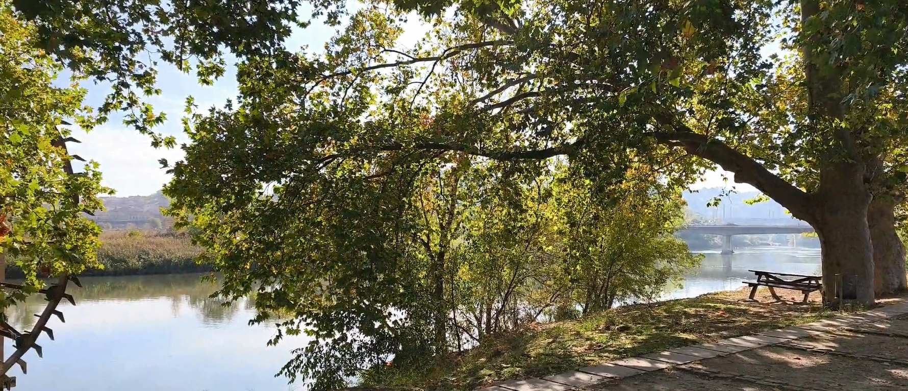 Primer Paseo Sensorial del Proyecto Renace Tajo: “El Tajo, Ecosistema en Riesgo”