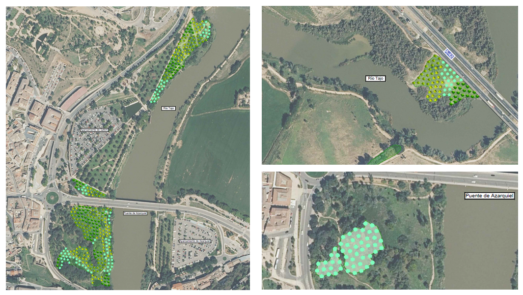 La renaturalización del río Tajo: una oportunidad para recuperar el ecosistema