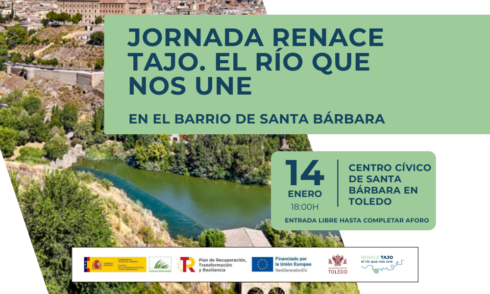 Renace Tajo: una jornada para redescubrir el río que une a Toledo